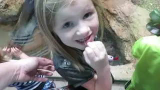 Day at Atlanta Zoo | 2016
