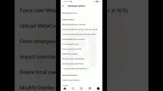 How to Enter Instagram Developer Options