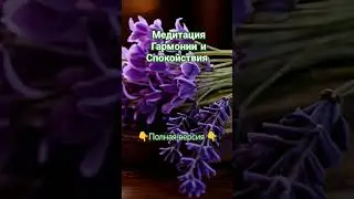 #медитация