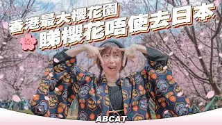 睇櫻花唔使去日本🌸香港最大櫻花園｜赤鱲角『 機場櫻花園』｜觀景山｜[4K] Hiking Vlog＃131 Tung Chung HKIA Cherry Blossom Garden