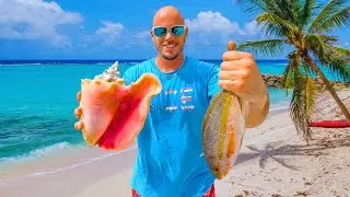 Catch n' Cook on a Caribbean Beach - Conch and Snapper!