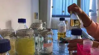 Лаборатория молекулярной генетики