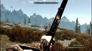 Probably The Best Killshot Ever #9 (Skyrim)