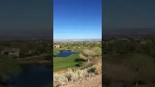The Sound of Birds Singing