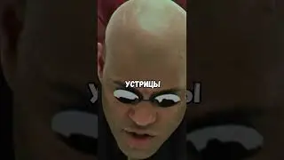 РАСКУМАТРИЦА - RYTP 3