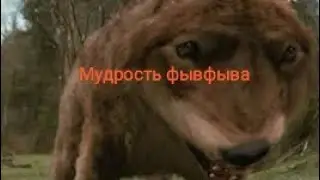 МУДРОСТЬ ФЫВФЫВА!
