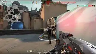 protocol bulldog diff