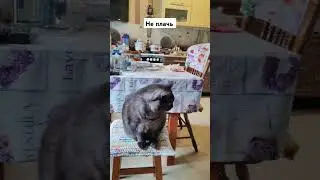 Пусть говорят...