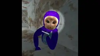 playing Capuchin with my friend