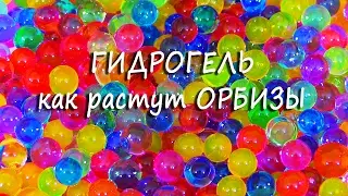 ГИДРОГЕЛЬ  как растут орбизы  Orbeez  Grown orbiz