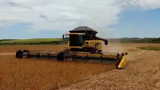 Safra 2019 - New Holland CR 7.90