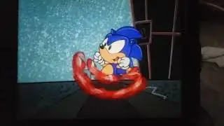 Time To Play Wheel Of Hedgehog (Short Video)