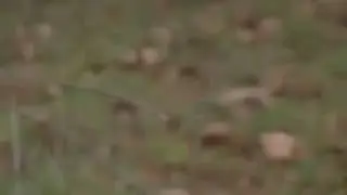 Раян и Миран 😂