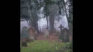 [FREE] HARD $UICIDEBOY$ x BONES TYPE BEAT - 