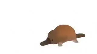 Platypus epic