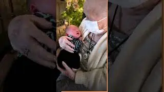 Прабабушка-героиня стала звездой Интернета #family