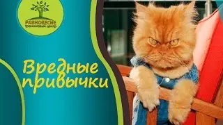 Вредные привычки