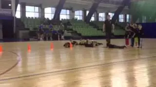 cheerleaders