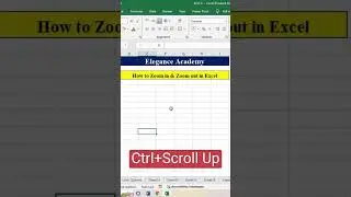 How to Zoom in & Zoom Out 