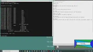 Batch Commands Wildcards