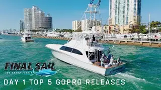 Top Releases from 2024 Final Sail