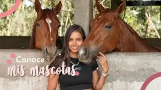 conoce 50 de mis mascotas !!!!