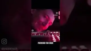 PRODUCER TAGS DEMO