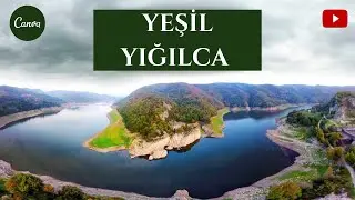 YEŞİL YIĞILCA🌲🐝|Yeni Şiirim|🌰🍯Güzel ülkemin Güzel İlçesi🎤