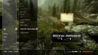 Just bought Skyrim so fuck it