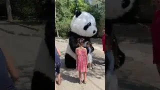 Амиго на детском празднике #panda #umka #Амиго #Умка #dance #umkarostov #мишкаумка #амиго #танцы