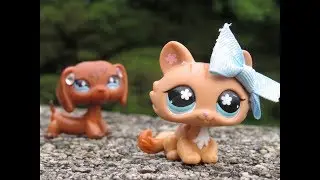LPS Summertime Vlogs #2