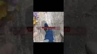 #гачалайф . #актив. го 3к, добьём?:_.. !!!ВИДЕО ПРИДУМАЛА Я!!!