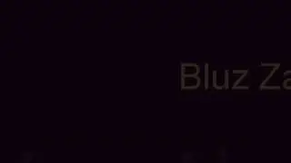 Srdjan Marjanovic - Bluz za usnu harmoniku