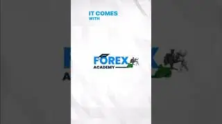 Can Forex make you rich 