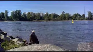 Cвобода - это когда не нужно "всё включено".