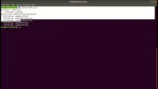 How to unzip zip files in Linux