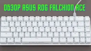 Обзор ASUS ROG Falchion Ace