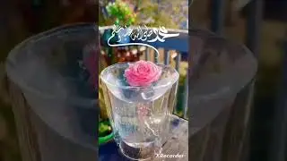 Friday drood Shreef Status / Darood Shreef Status / Whatsapp Islamic Status/ Islamic Video