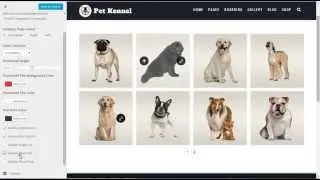 Pet Care - Customize Portfolio Category Section
