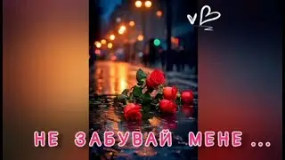 Коханій жінці пісня НЕ ЗАБУВАЙ МЕНЕ 💞  Вадим Тригуба #українськіпісні #шансон #пісняукраїнською