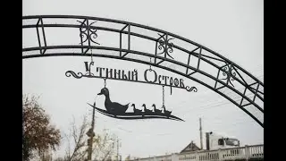 курск. утиный остров.