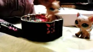 Lps far from perfect ep1 part 1
