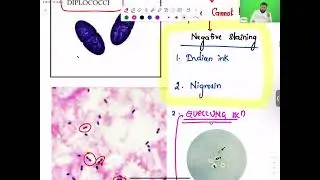 Microbiology class - Part 10 by Dr.krishna Sahith