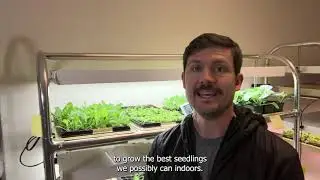 Environmental Conditions for Seeding Crops Indoors