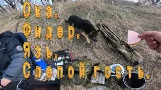 Фидер на Оке. поиск мест.