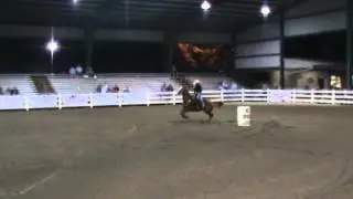 Wyatt and Miss Hollyspeed NBHA state show 2012