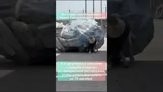 ХОТ СЕЙЛ не останавливается🔥Только до 25 декабря| Усадьба-Семена| usadba-semena.ru