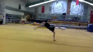 Wolf Combo