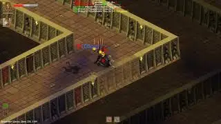 Exiled Kingdoms e95 - Оррог задолбал. Ниварианские квесты.
