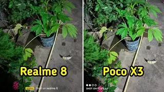 Realme 8 vs Poco X3 camera test | Realme 8 vs poco X3 camera review | Tech 4 Camera